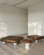 Table basse en bois et marbre